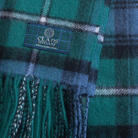 картинка Clans of Scotland Mackenzie Ancient от магазина  Mykilt